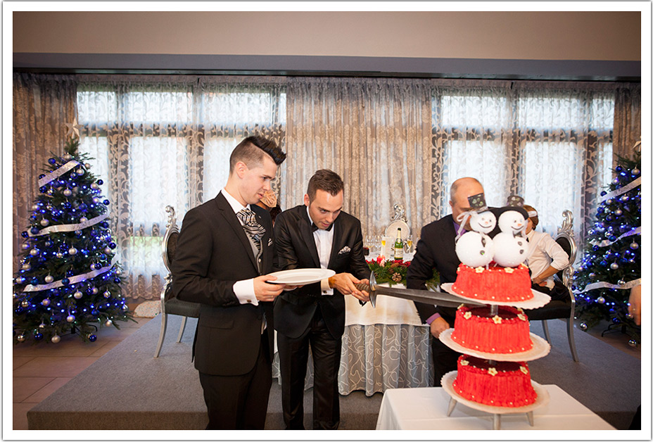 fotografo-bodas-cantabria-cimiano-manueles-tarta