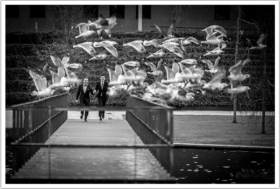 fotografo-bodas--santander-cantabria-manueles-palomas