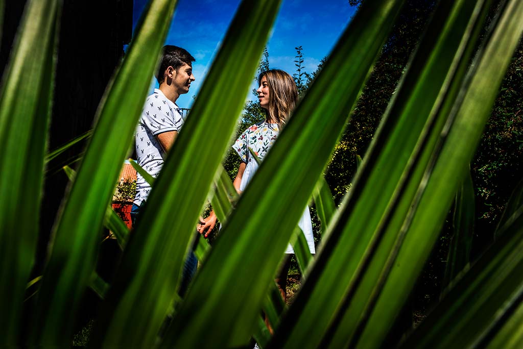 fotógrafo de bodas Cantabria Ana y Mario palmeras