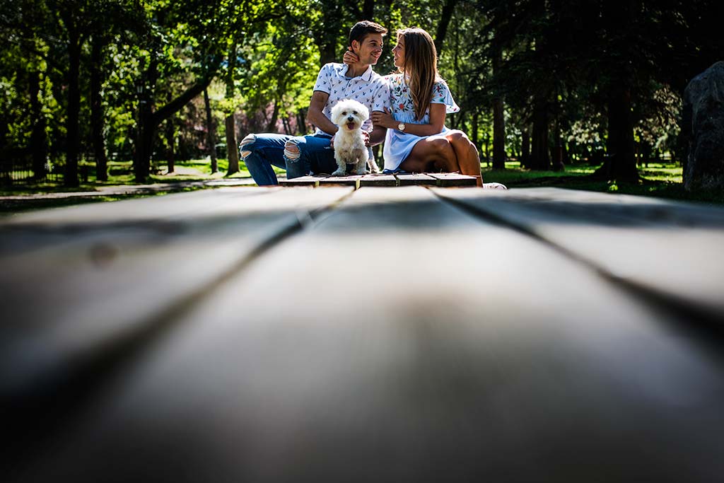 fotógrafo de bodas Cantabria Ana y Mario perro