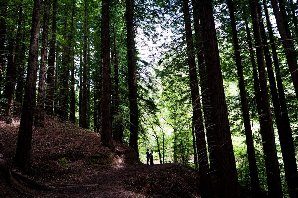 boda íntima en Cantabria Marcos Greiz silueta