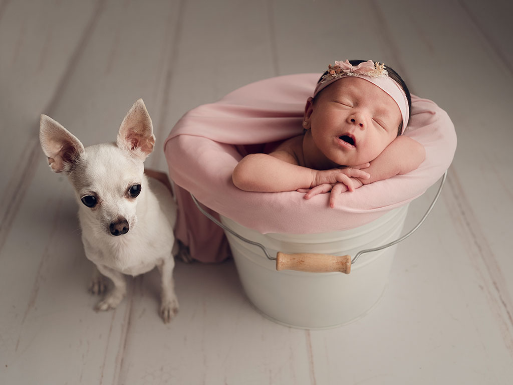 Perro y gala recién nacida